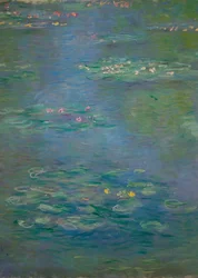Ninfee (dettaglio)